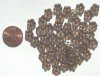 50 3x9mm Transparent Antique Green Lustre Spacer Flowers